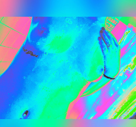 adamandlena porn model pic