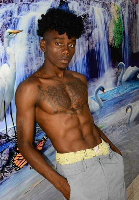 afroflavor star art archive