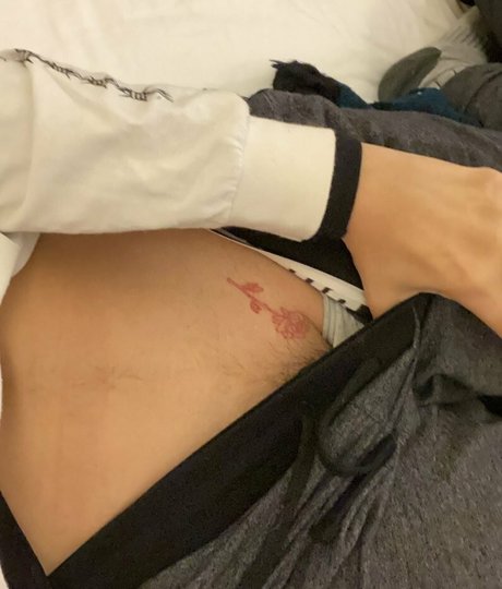 fe lina exclusive pornstar archive