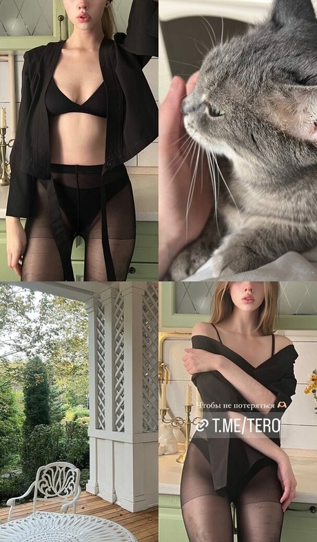 Tero star nice archive