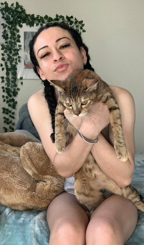 hiiibentley star erotic archive