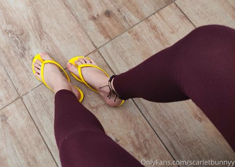 scarletbunnyy hd star photos