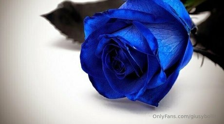 only queen84 exclusive star pics