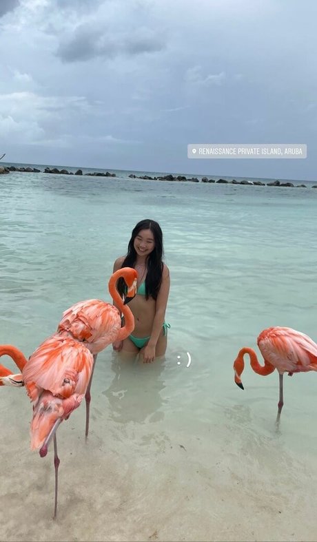 Lisabby star nice pictures