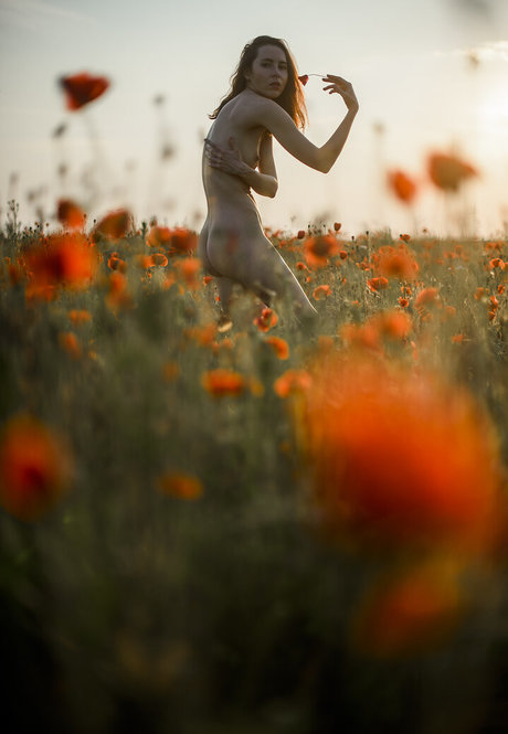 Just Marine star art gallery