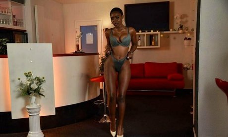 zaawaaditv perfect star galleries