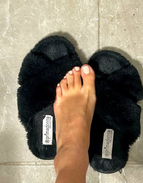 clomaj nice star archive