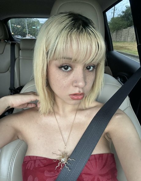 Ilselovesyou best pornstar photo