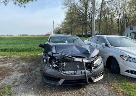 reaghanblackhart pornstar nice archive