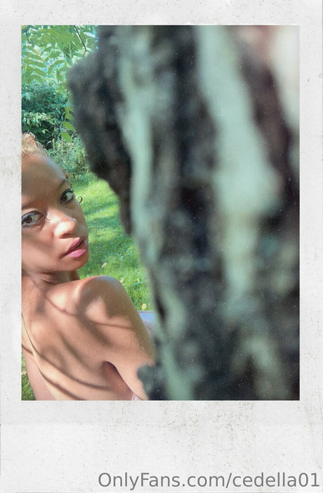 cedella01 sexy actress archive