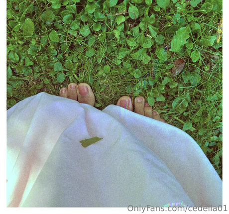 cedella01 pornstar img