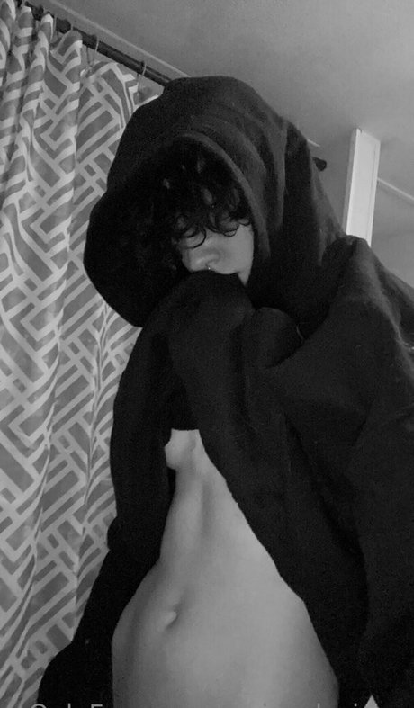 seriouslyzippy Photo Gallery