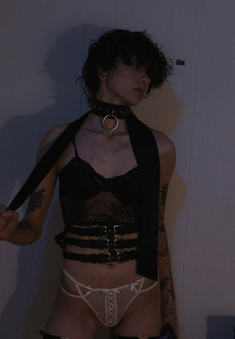 seriouslyzippy best star images