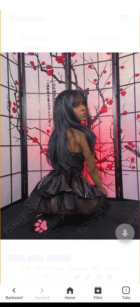 Moonkiller17 exclusive pornstar gallery