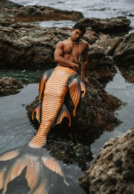 henryandkasey hd model image