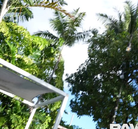 Lucky B Dallas pornstar pretty photos