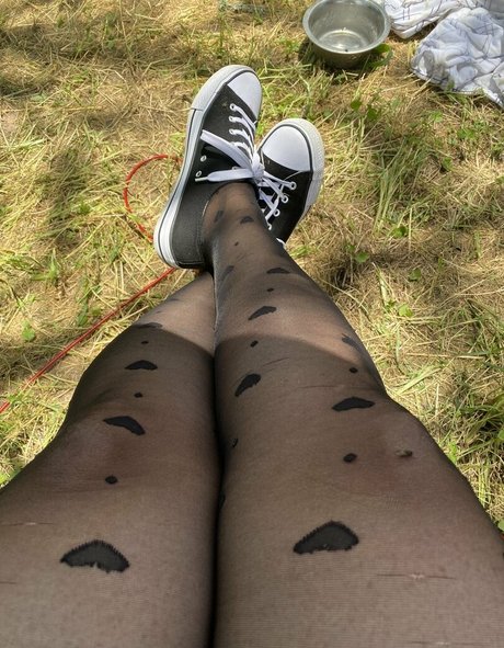 dizzykittenpaws pornstar naked archive