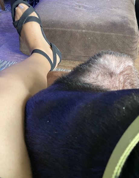 dizzykittenpaws high quality star pic