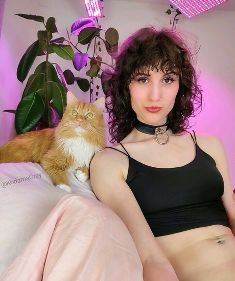 Kodama Grey xxx pornstar pic
