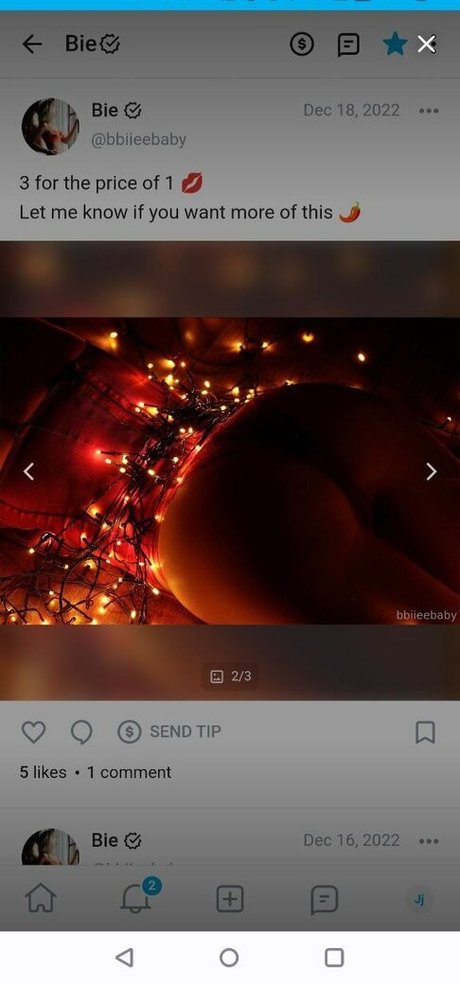 bbiieebaby perfect star img