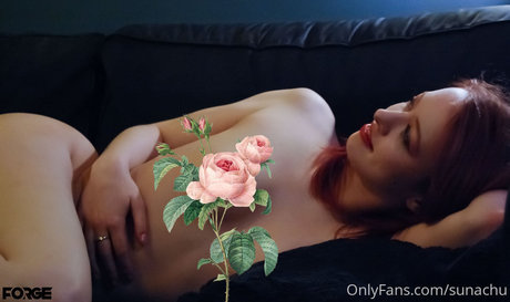 Sunachu star sex archive