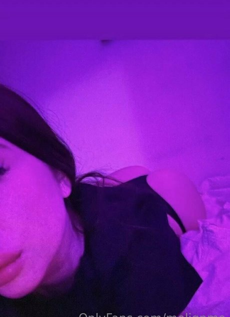 melissakatteyes beautiful star gallery