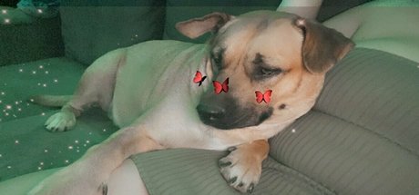 brattyprincess25 model free pics