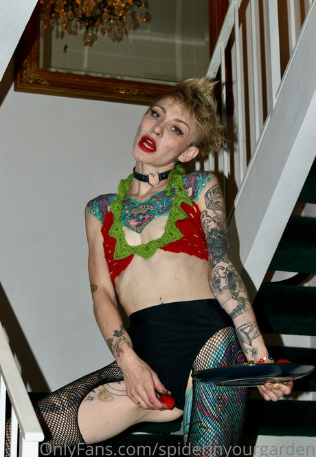 spiderinyourgarden pornstar image