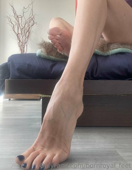 bornroyal feet pornstar nude pic