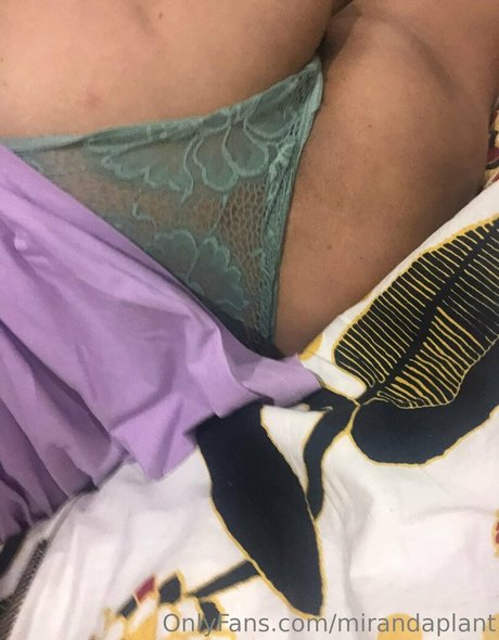 mirandaplant nice star gallery