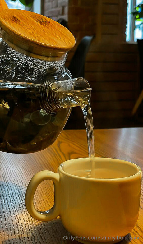 sunny bunny xx pornstar pretty galleries