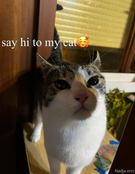 bunnynadja model pornographic pic