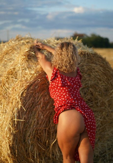 ebony bbw onlyfans free pictures