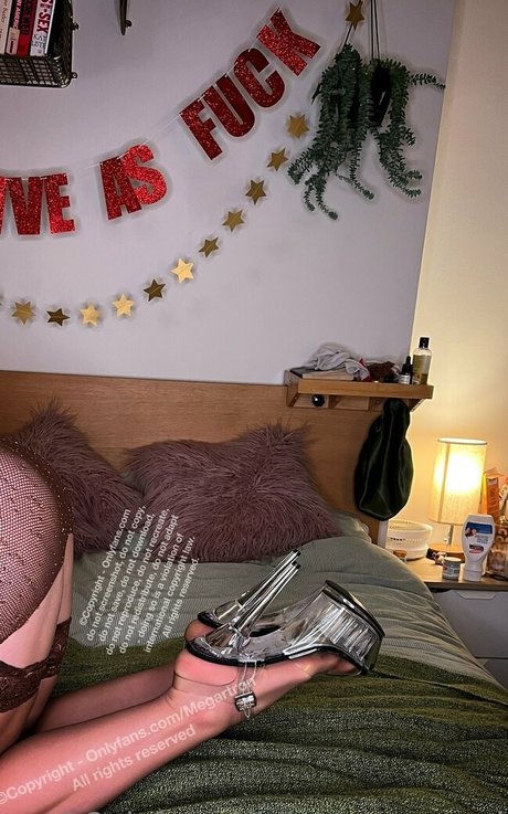 megartron model art image