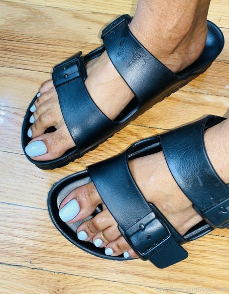 vee feet star perfect galleries