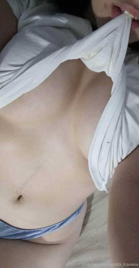 gatita traviesa perfect star gallery