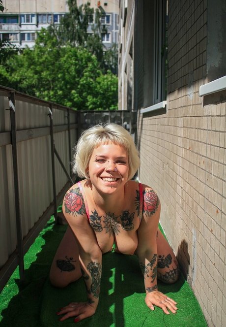 pollyyvla free star img