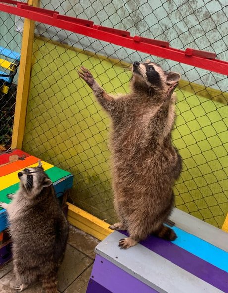 skyrror beautiful actress galleries