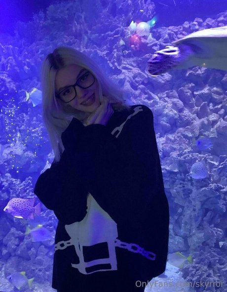 skyrror art model image