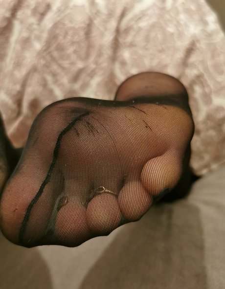 higharches bella high quality star archive