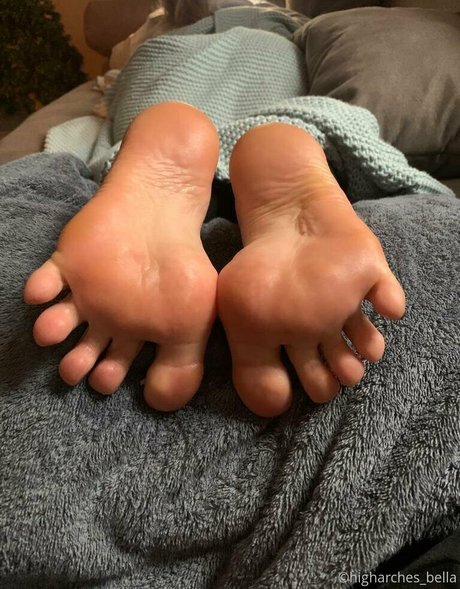 higharches bella nice star images