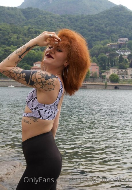 redmadmoodfree best star pics