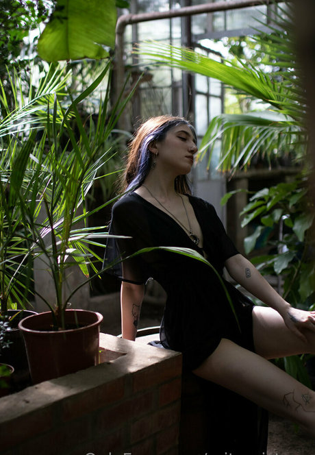 baby and dollyy high quality model img