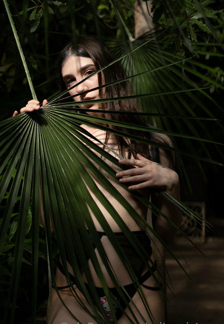 baby and dollyy naked actress archive