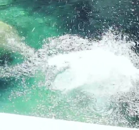 Heather Hemmens pornstar beautiful galleries