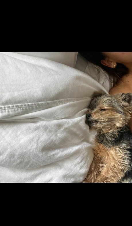 Izabella Alvarez sex star photo