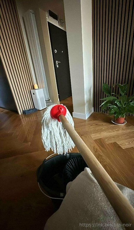 bianoir free star galleries