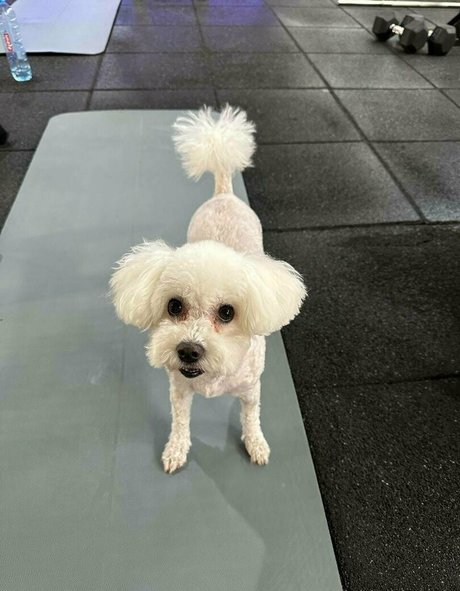 bianoir naked pornstar gallery