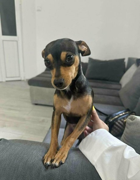 bianoir model pornographic pics