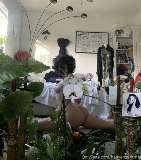 Heavensentmel star exclusive archive